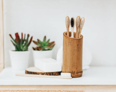 eco friendly bamboo tooth brushes