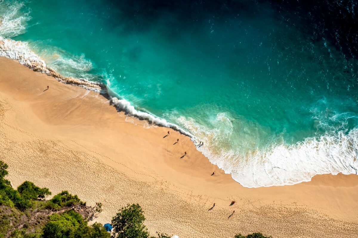 drone shot of beach shore