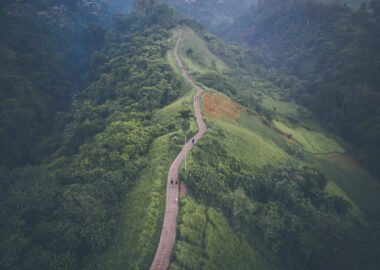 Aerial picture of Campuhan Ridge Walk , Scenic Gre