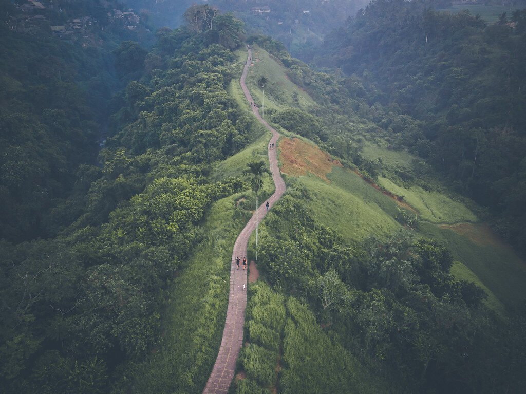Aerial picture of Campuhan Ridge Walk , Scenic Gre