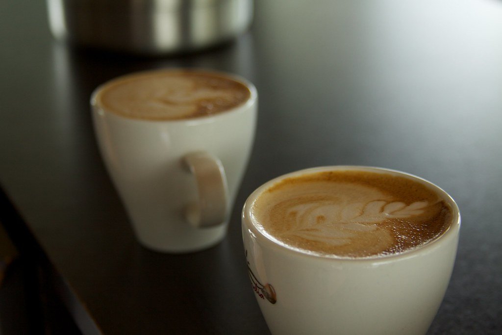 Coffee plantation